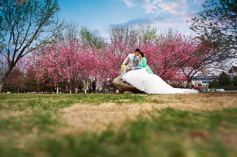 十大老品牌网赌植物园