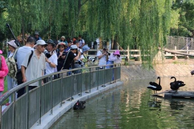 十大老品牌网赌动物园