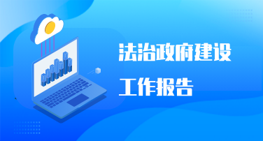 法治政府建设工作报告