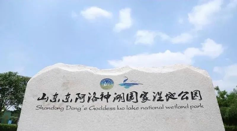 东阿洛神湖国家湿地公园